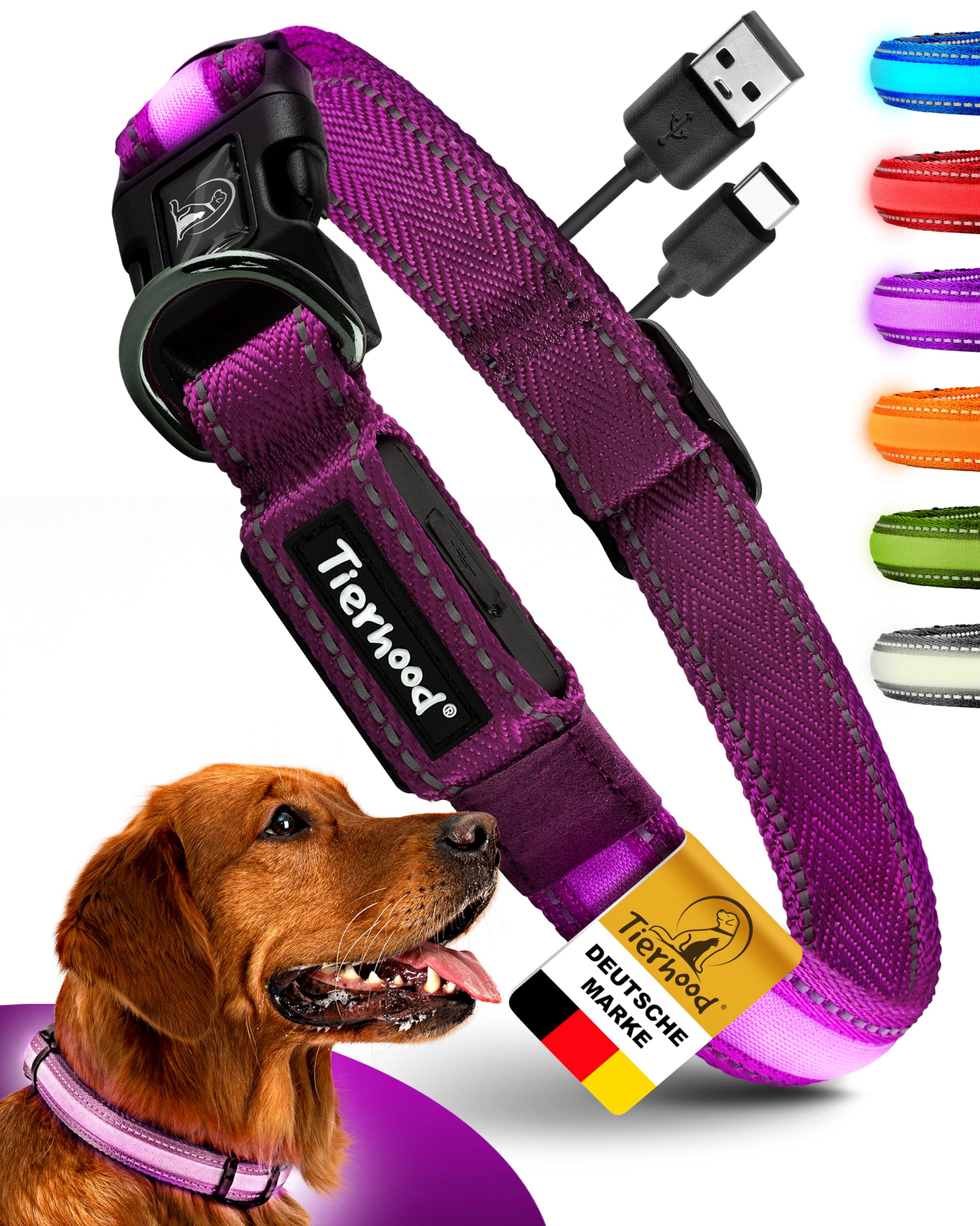 Tierhood Luminous Dog Collar - Luminous Collar for Small and Large Dogs - LED Dog Collar Rechargeable - Durable, Weatherproof and Comfortable - Ideal for Night Walks - Purple, Size S โ image 1