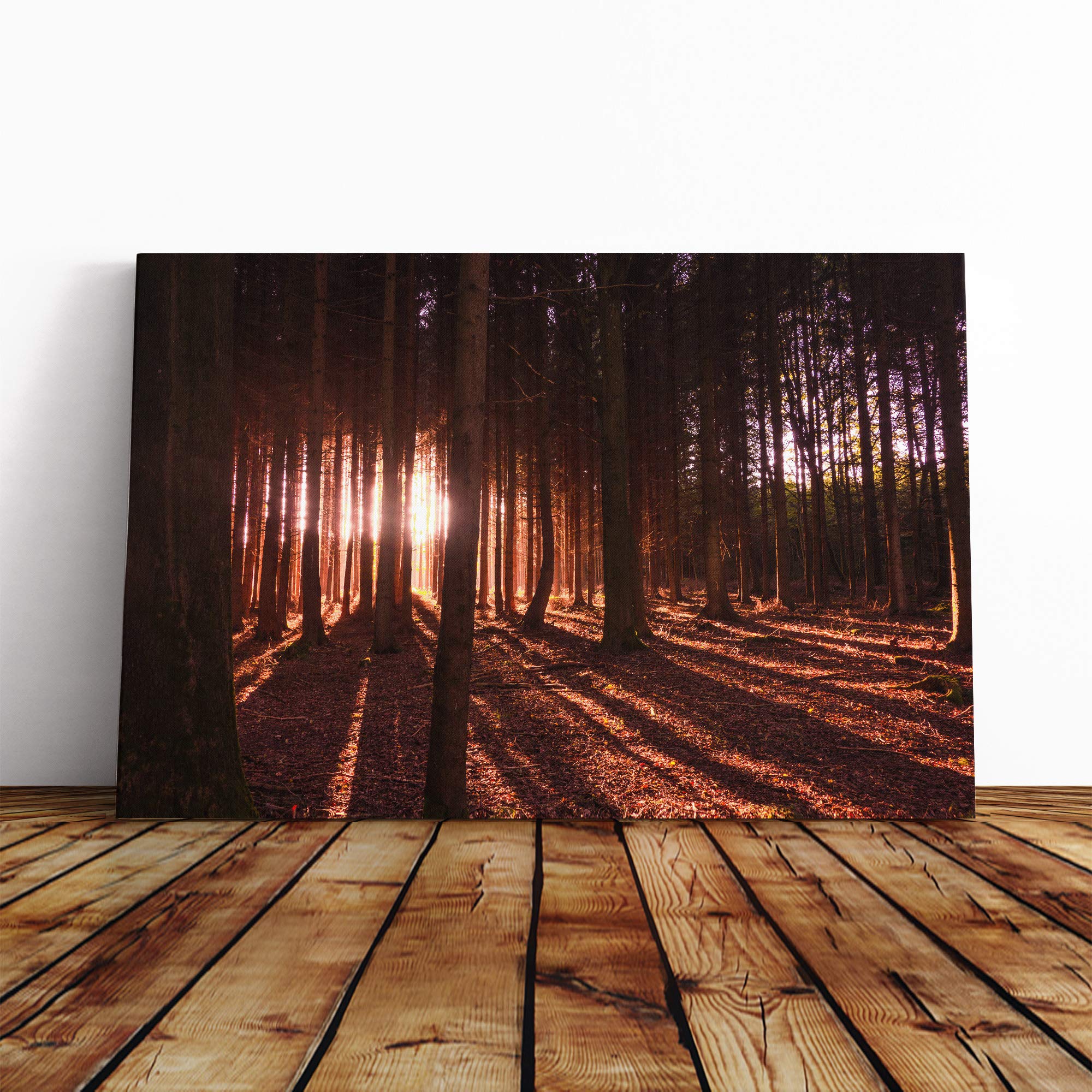 Landscape Forest Woodland (4) Canvas Print | Gallery Wrapped 30mm Frame Wall Art | 20x14 inches | Ready to Hang | Modern Landscape Picture | Living Room Bedroom Lounge Office