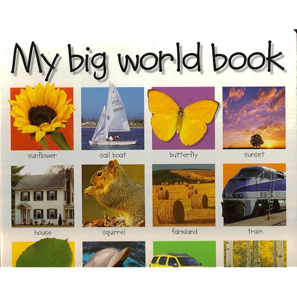 My Big Word Book: Priddy, Roger: 9780312490751: Amazon.com: Books