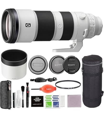 Amazon.com : Sony FE 200-600mm f/5.6-6.3 G OSS Lens for Sony E