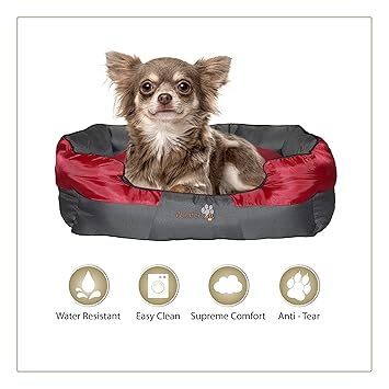 Woofers Boyne Dog Beds Small Pet Beds For Small Dogs Dog Cushion