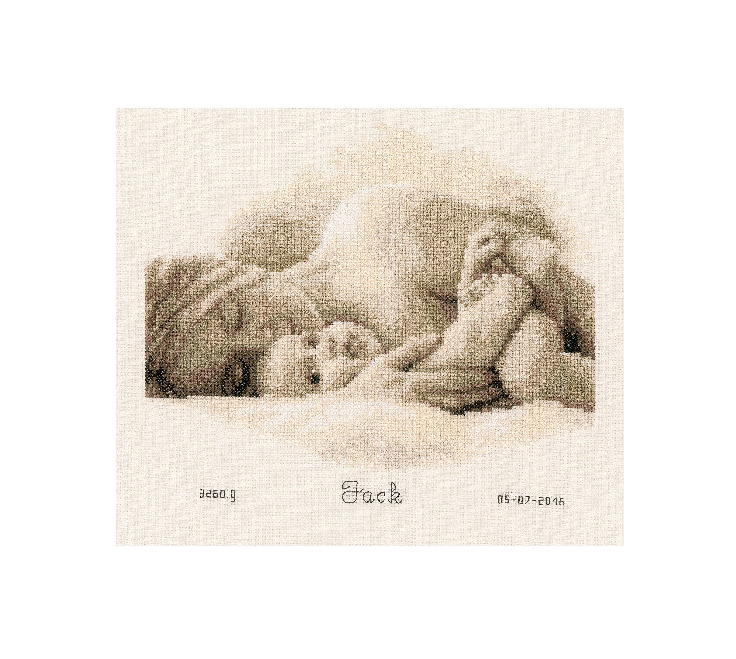 Vervaco Birth Record First Hug