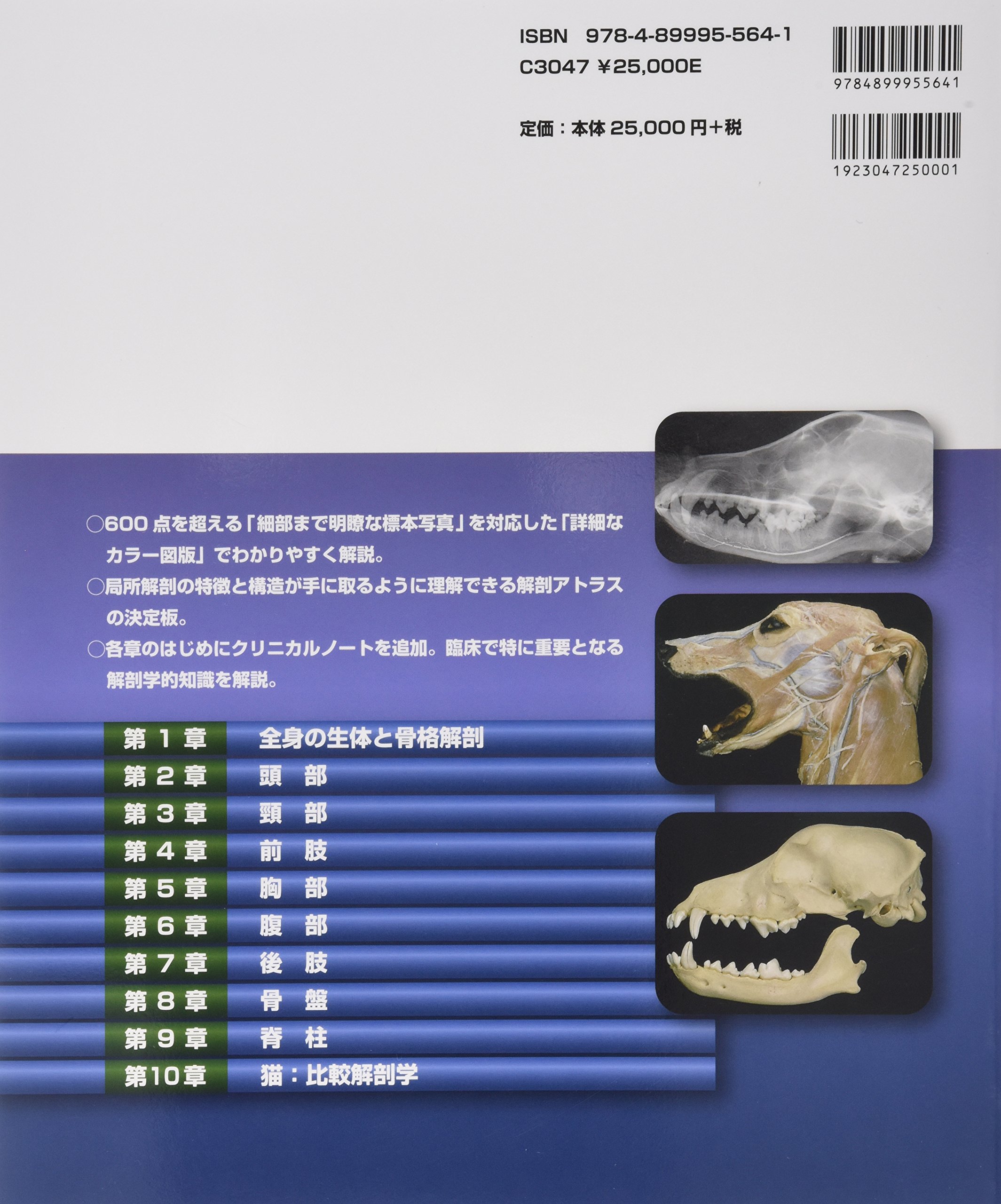 楽ギフ 包装 ベテリナリー アナトミー 犬と猫の解剖カラーアトラス コンピュータ It News Elegantsite Gr
