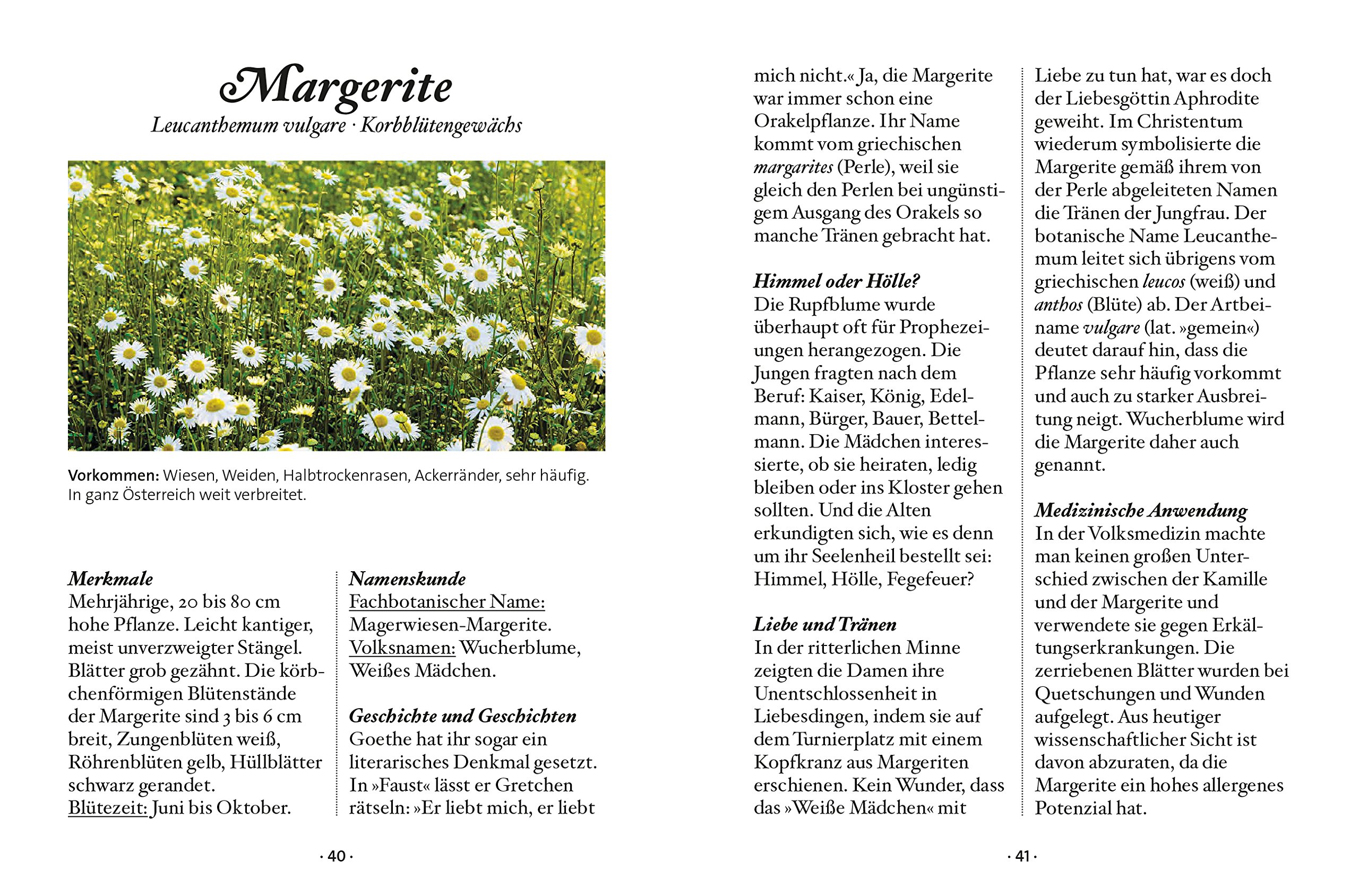 Download Liebe ist wenn man sich mit 80 Free HD Liebe Ist Wenn Man Sich Mit 80