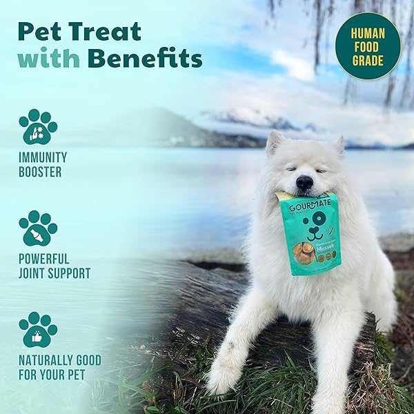 GOURMATE PET TREAT CO. GREEN LIPPED MUSSELS FOR DOGS – HUMAN GRADE DOG TREATS – 100% NATURAL, FREEZE DRIED SNACK WITH OMEGA-3, GLUCOSAMINE & CHONDROITIN FOR HEALTHY COAT & JOINT SUPPORT – 50G/1.76OZ