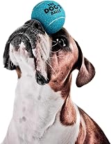 The Dog's Balls Dog Tennis Balls Blue Medium 12 Pack - Non-Abrasive Felt view 3