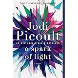A Spark of Light: A Novel