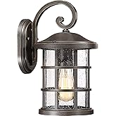 Quoizel Crusade Outdoor Wall Lantern, Coastal Armour 14.25 Inch 1-Light Palladian Bronze Wall Sconce, Clear Seeded Glass, 100