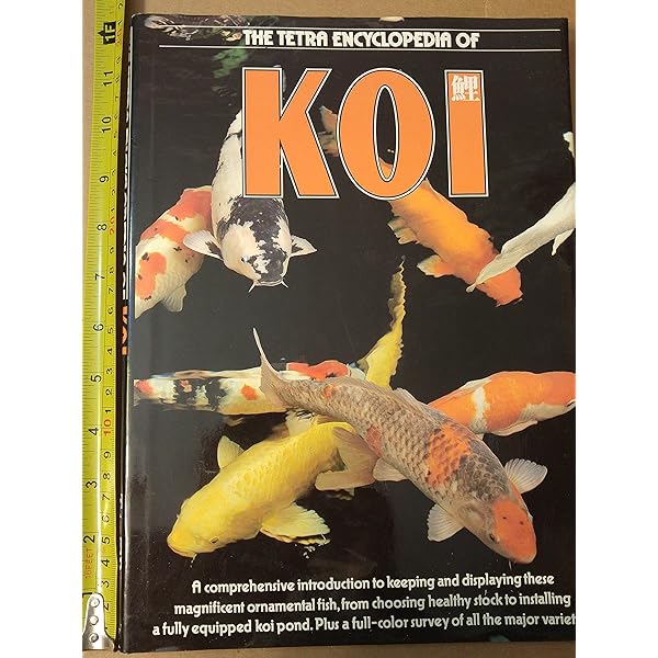 Koi Varieties: Japanese Colored Carp-Nishikogoi: Herbert R