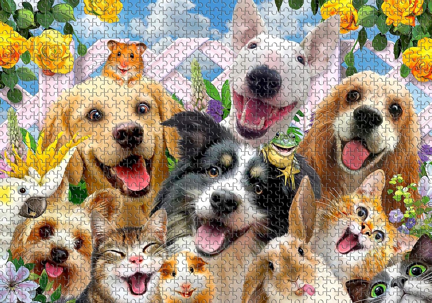 dog puzzles for kids