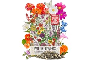 Seed Needs Flower Seeds Hummingbird and Butterfly Seed Mix 1 Ounce No Filler | 23 Varieties Garden Seeds Annual & Perennial Species | Pollinator Attracting Flowering Seed | Bulk Resealable Package