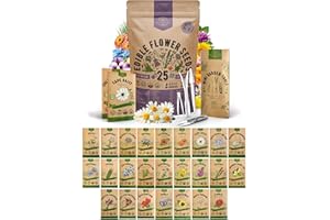 Organo Republic 25 Edible Flower Seeds Variety Pack for Indoor Outdoor Gardening - 8,000+ Non-GMO Heirloom Flower Seeds: Anise, Hyssop, Nasturtium, Pansy, Echinacea, Lavender, Chives & More