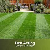 Garden Lawncare Guy Green Autumn/Winter Lawn Fertiliser 3 Month Feed view 2