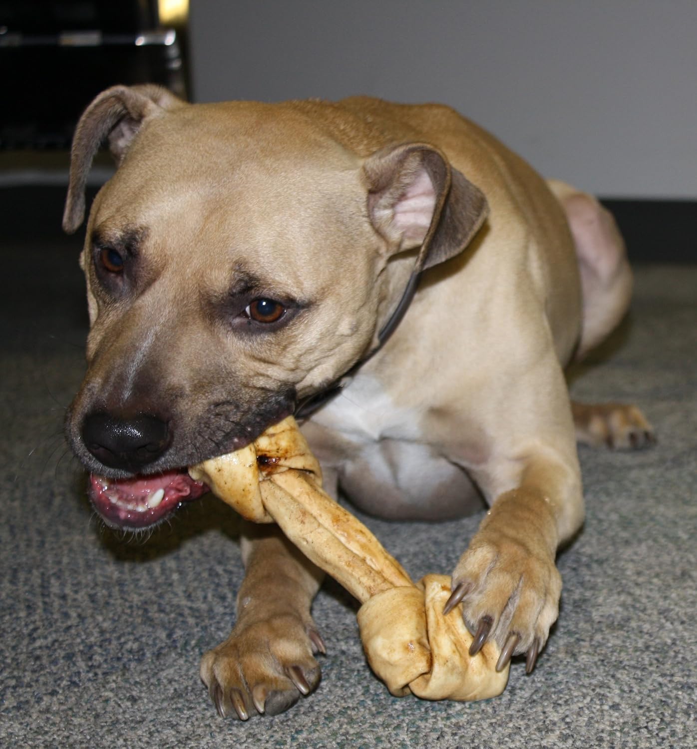 are beefhide bones bad for dogs