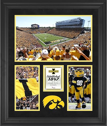 iowa hawkeyes team store