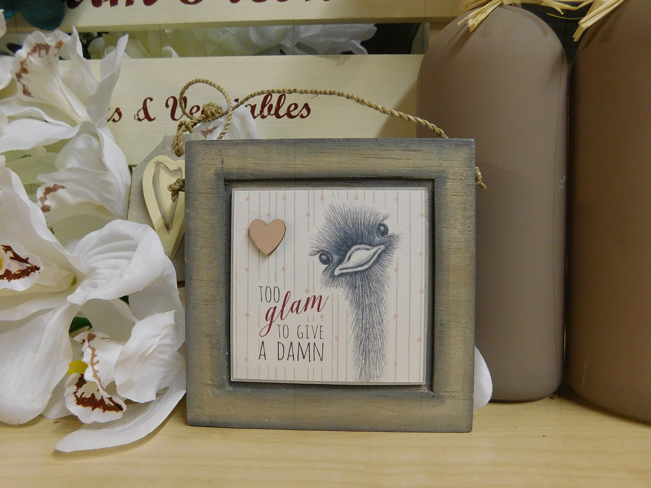 East Of India: Animal Picture Collection: Too Glam