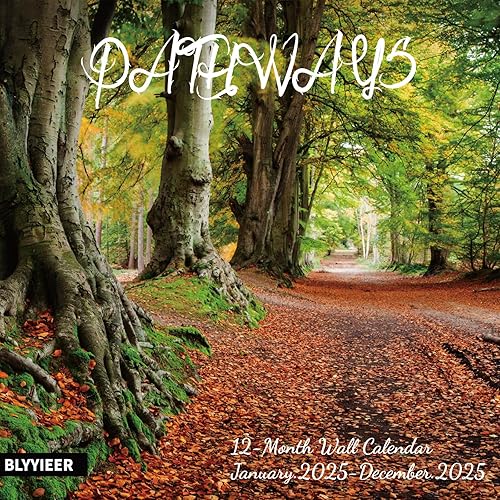 2025 Wall Calendar PATHWAYS, 18 Months Hang Wall Calendar, Jul.2024-Dec ...