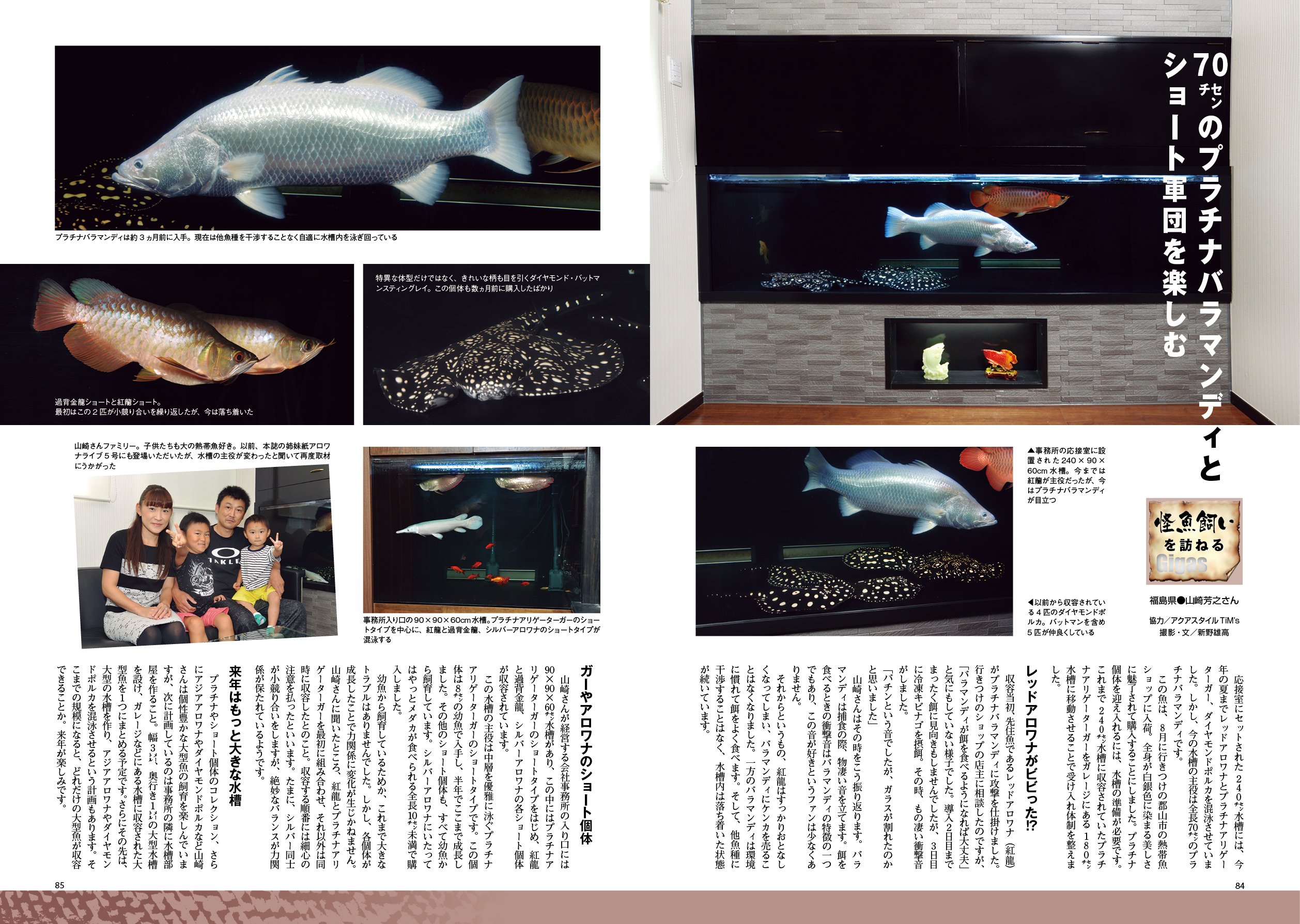 怪魚飼育マガジン Gigas ギガス Amazon Com Books 怪魚飼育マガジン Gigas ギガス Amazon Com Books
