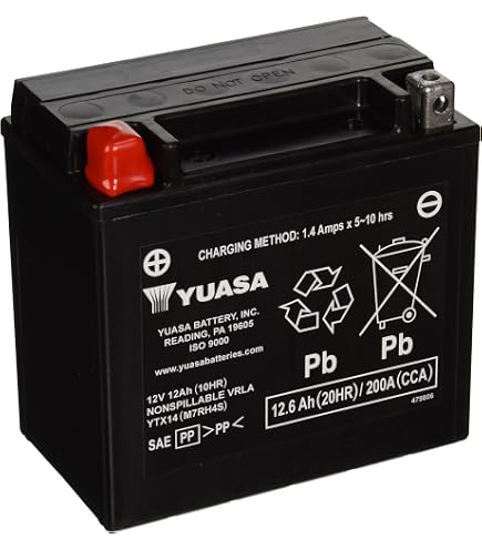 Amazon.com: Yuasa YTX14-BS Maintenance Free Battery with Acid Pack