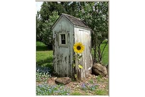 LITTLEPIECREATIONS Vintage Outhouse Bathroom Wall Art, Photography Art, Outhouse Sunflower Country Farmhouse Matted Wall Decor (Handmade) (Color)