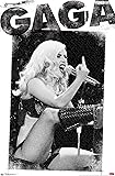 Trends International Lady Gaga - Finger Wall