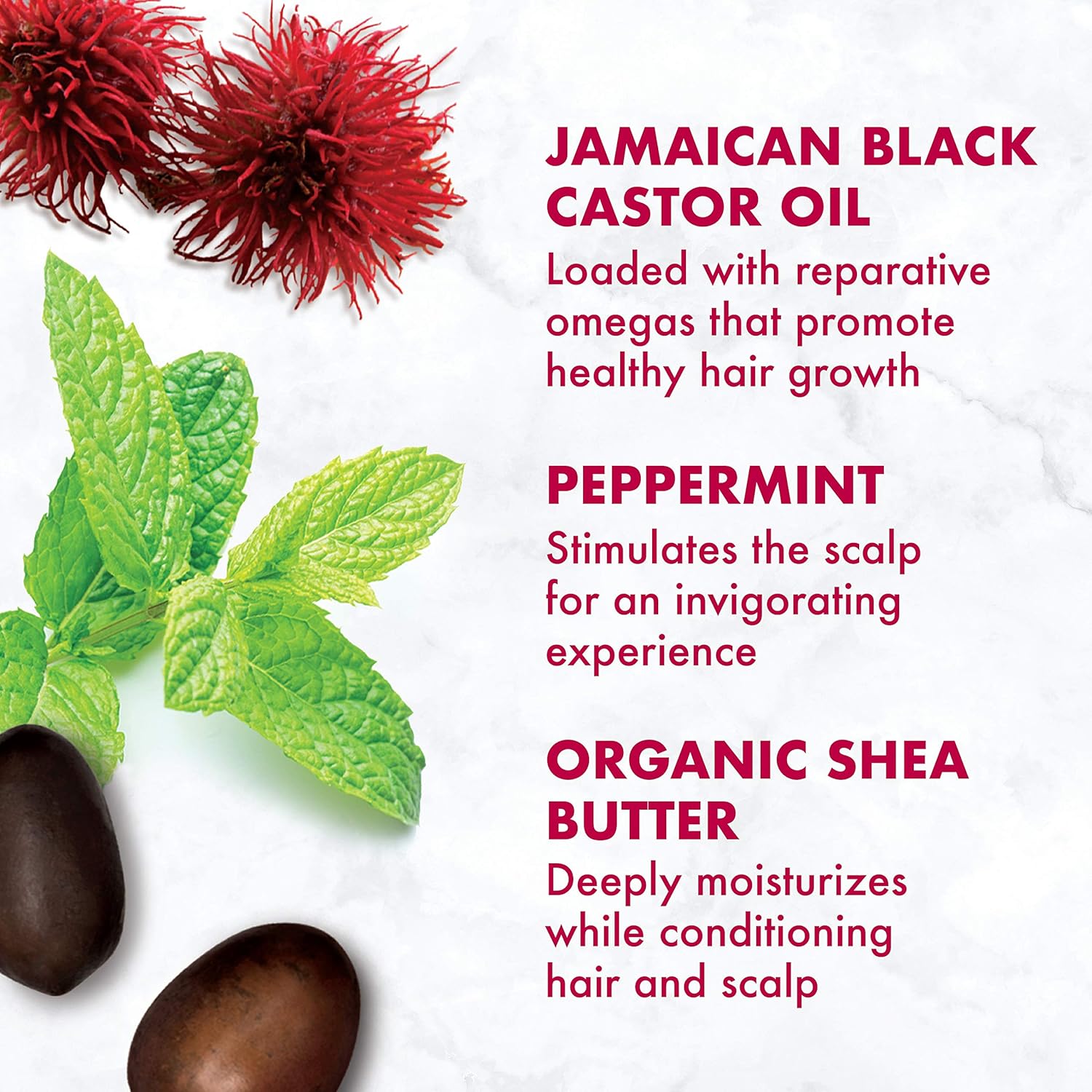 Shea Moisture Jamaican Black Castor Oil Smoothie, 12 Ounce : Beauty