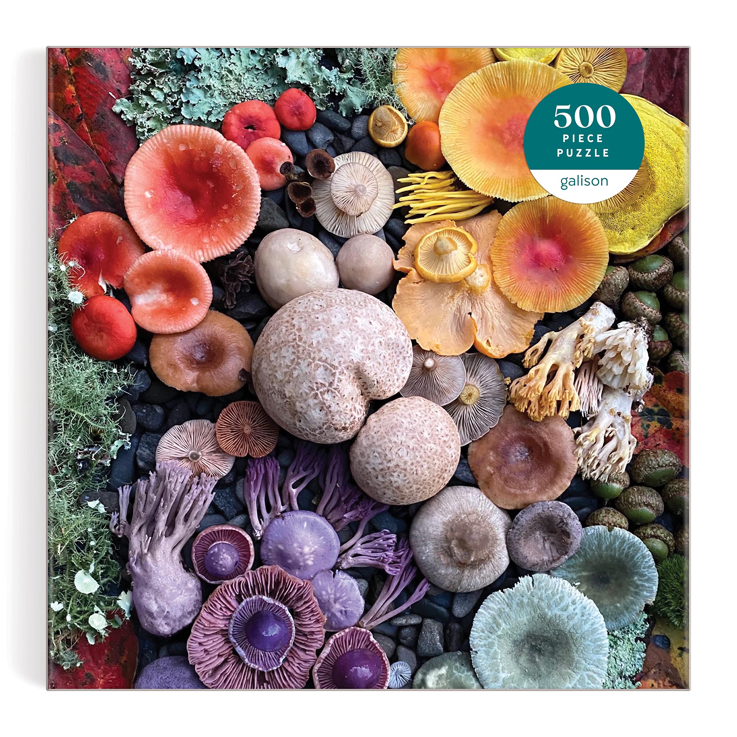 Galison Shrooms in Bloom 500 Piece Puzzle from Galison - 20