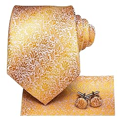 Hi-Tie 3 Pcs Gift Box Mens Tie Set Necktie with