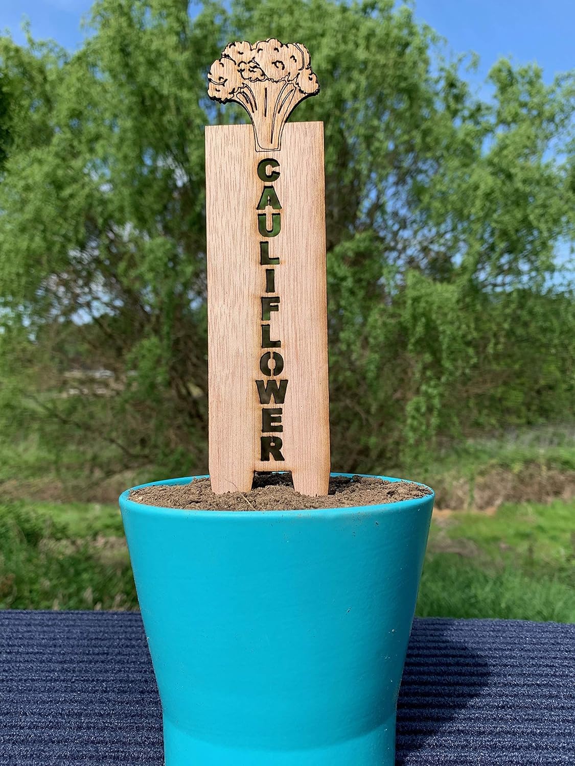 Amazon Com Cauliflower Garden Stakes Vegetable Markers Plant Stakes Decorative Garden Markers Veggie Sticks Herb Sticks Handmade