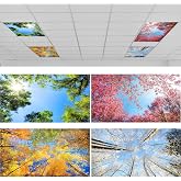 ROCEEI 4 Pcs Fluorescent Light Covers, 4x2 Feet, Season | Fluorescent Light Covers for Ceiling Lights, Magnetic Light Filters for Classroom, Office, Hospitals, Home (Season)