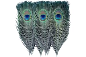 BZTVXMZ Bulk Natural Peacock Feathers-15Pcs 10-12in (25-30 cm),Long Peacock Feathers for Vase Decorations Party Decor and DIY Crafts