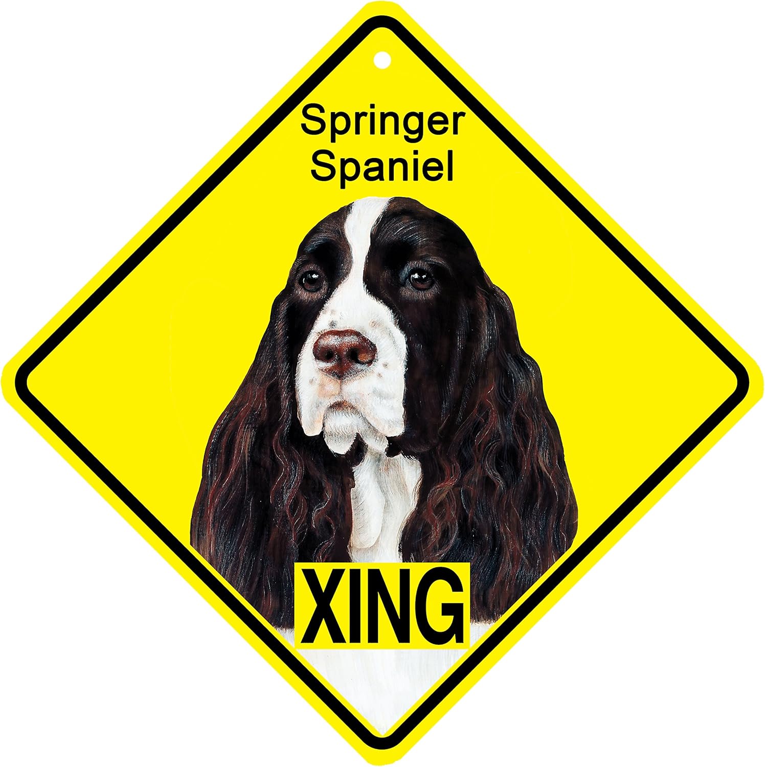 kc cocker spaniel