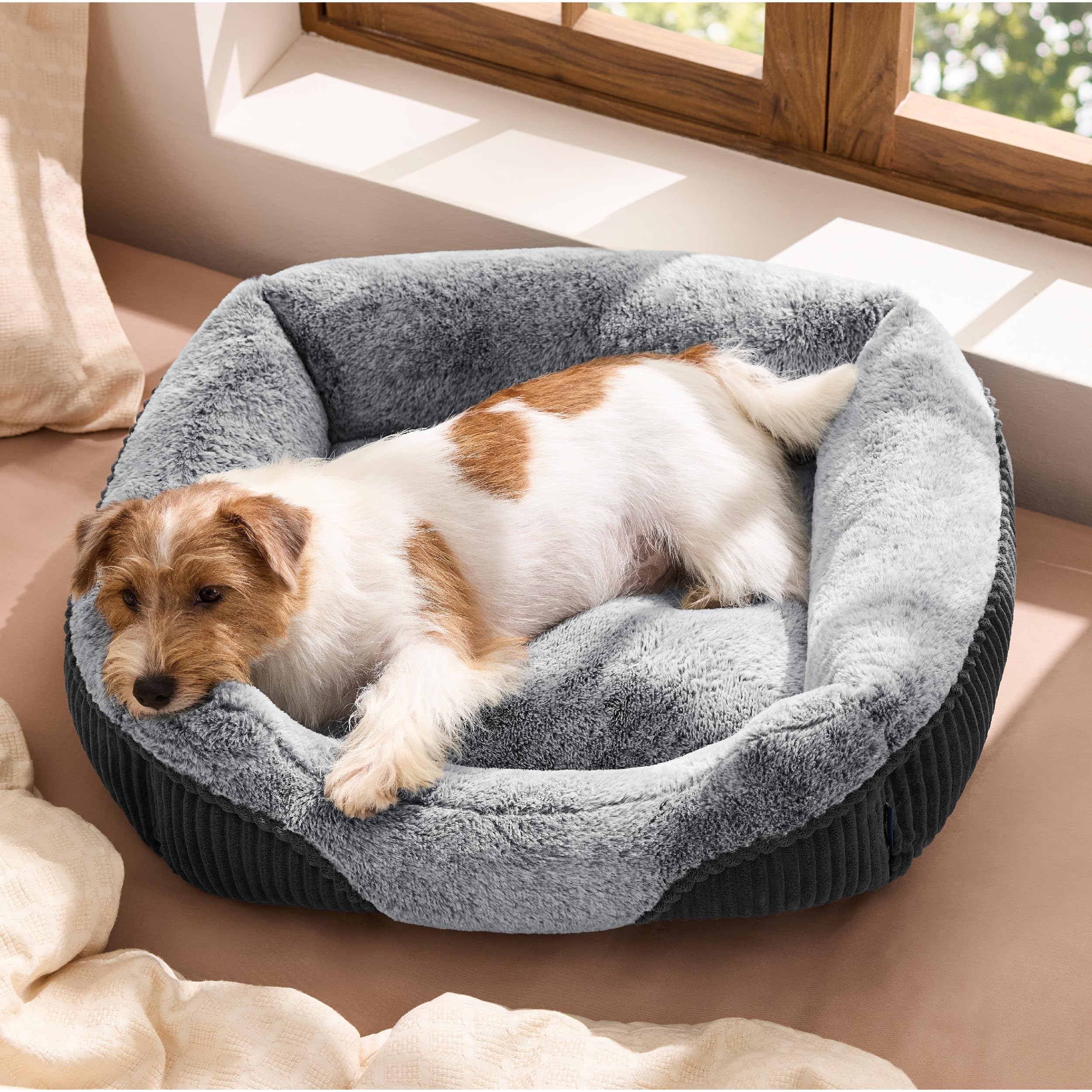 Photo 1 of Bedsure Washable Dog Bed Small Medium Size Dog - Rectangle Fluffy Plush Pet Bed Puppy Bed, Comfy Corduroy Fleece and Nonskid Bottom,25x21x7inches,Suitable for Pet Up to 20lbs,Grey