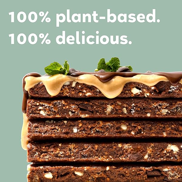 GOMACRO MACROBAR ORGANIC VEGAN PROTEIN BARS – MINT CHOCOLATE CHIP, 2.3 OUNCE BARS, (PACK OF 12)