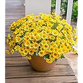 Daisy Artificial Flowers for Outdoors Decoration, 6 Bundles Fake Plants Flowers Bouquet Faux Flowers for Outdoor Planter Look Real UV Resistant Silk Flowers for Outside Front Door Porch Patio, Yellow