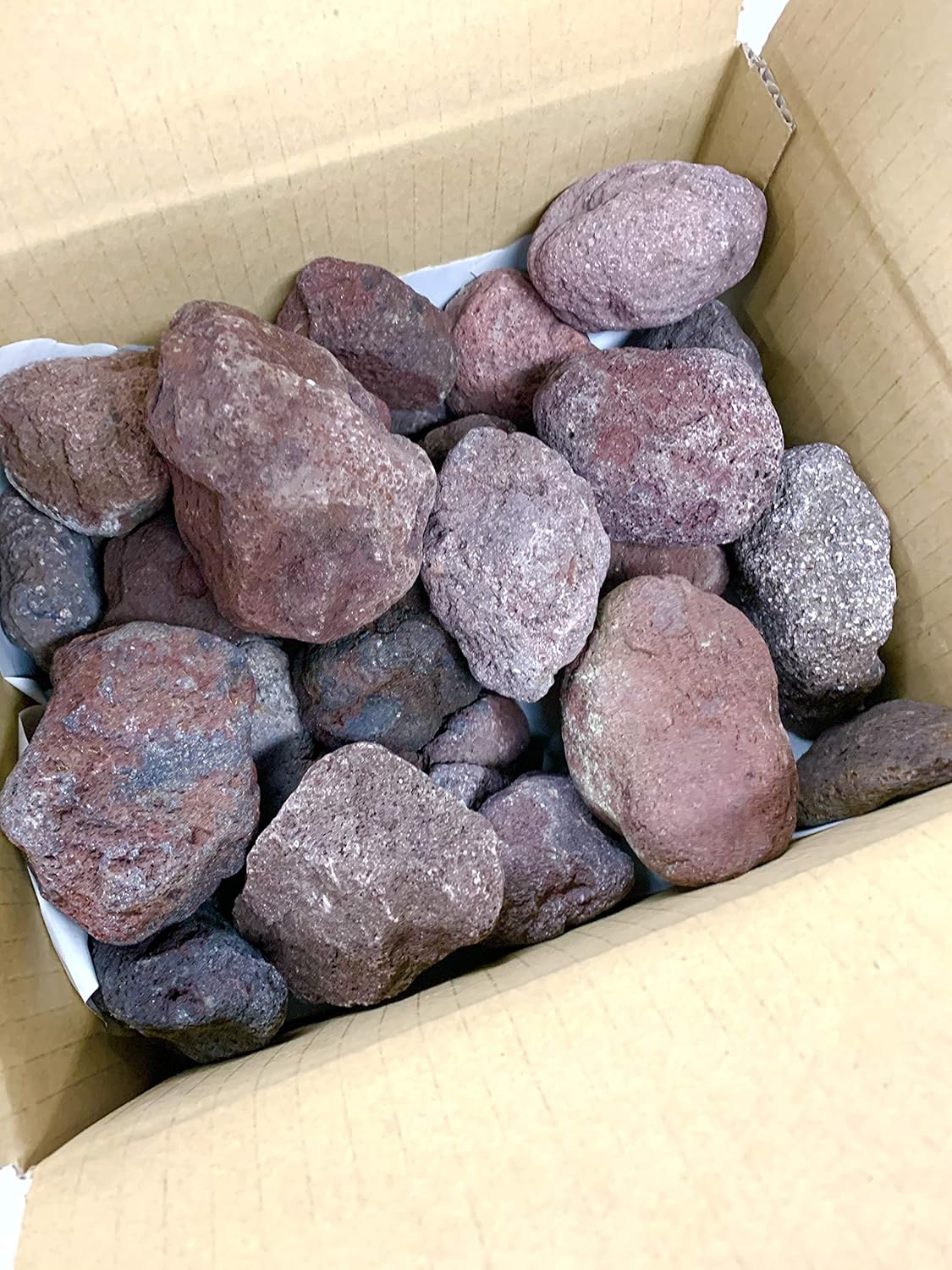 Amazon 富士山 溶岩石 3キロ ミックス 赤 50 100 アクアリウム レイアウト 石 水槽 飾り コケリウム パルダリウム 庭石 富士山溶岩石 岩 ガラス玉 通販