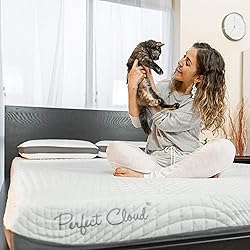 Perfect Cloud Basics Plush Gel-Infused 8-inch