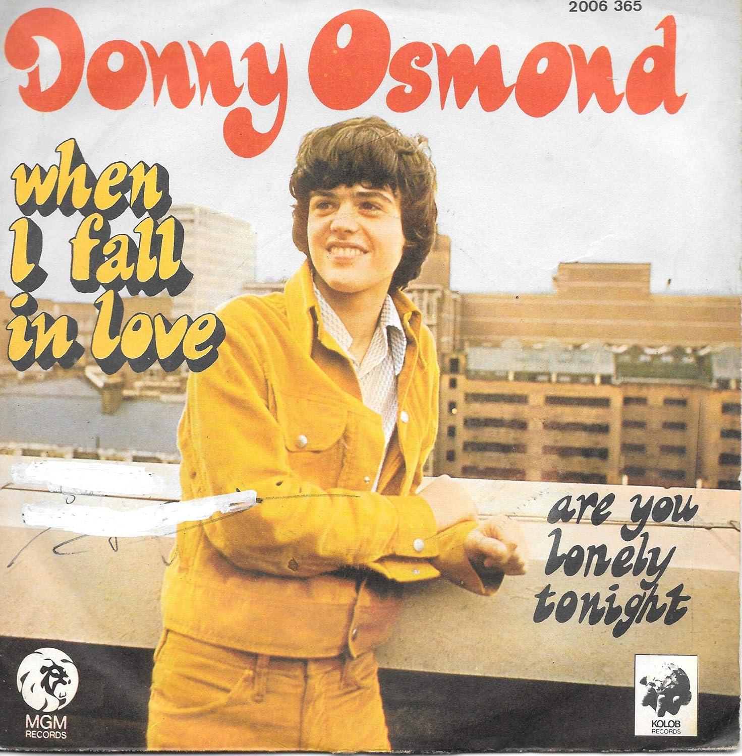 Donny Osmond When I Fall In Love Music Donny Osmond When I Fall In Love Music