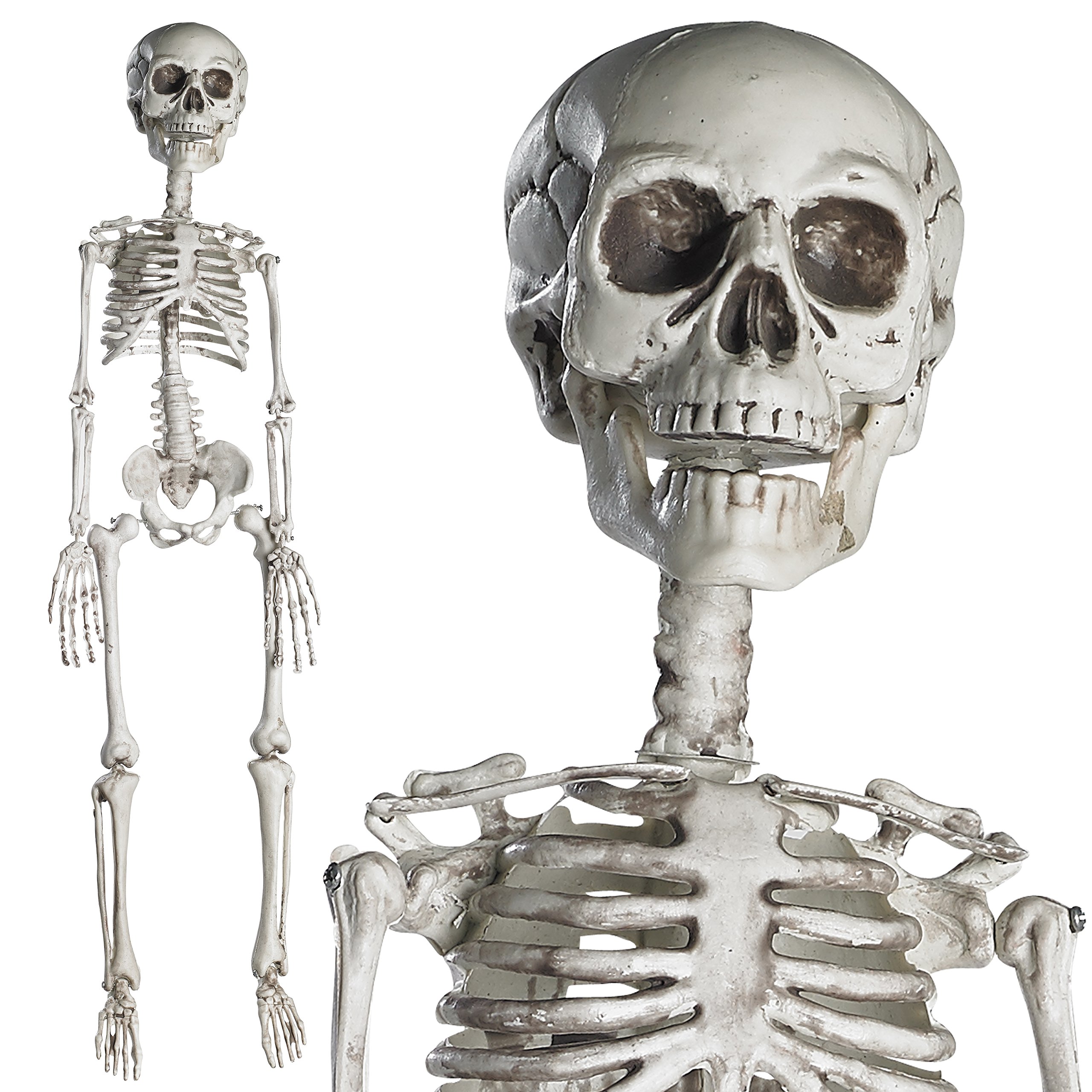 Photo 1 of PREXTEX 30” Skeleton - Halloween Skeleton with Movable Joints for Indoor and Outdoor Décor - 2.5ft Full Size Skeletons Halloween Decorations - Durable Halloween Plastic Skeleton for Spooky Displays