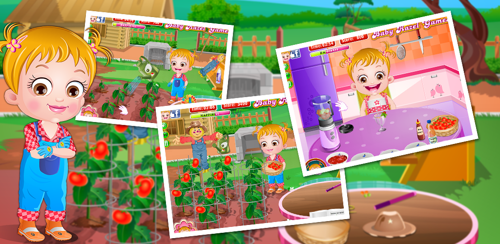 Baby Hazel Tomato Farming