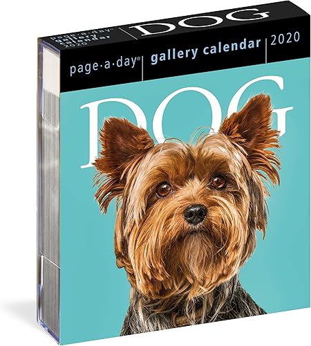 Download Dog Gallery 2020 Calendar PDF