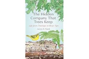 The Hidden Company That Trees Keep: Life from Treetops to Root Tips
