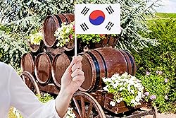 50 Pack South Korean Flags on Stick - Small Mini