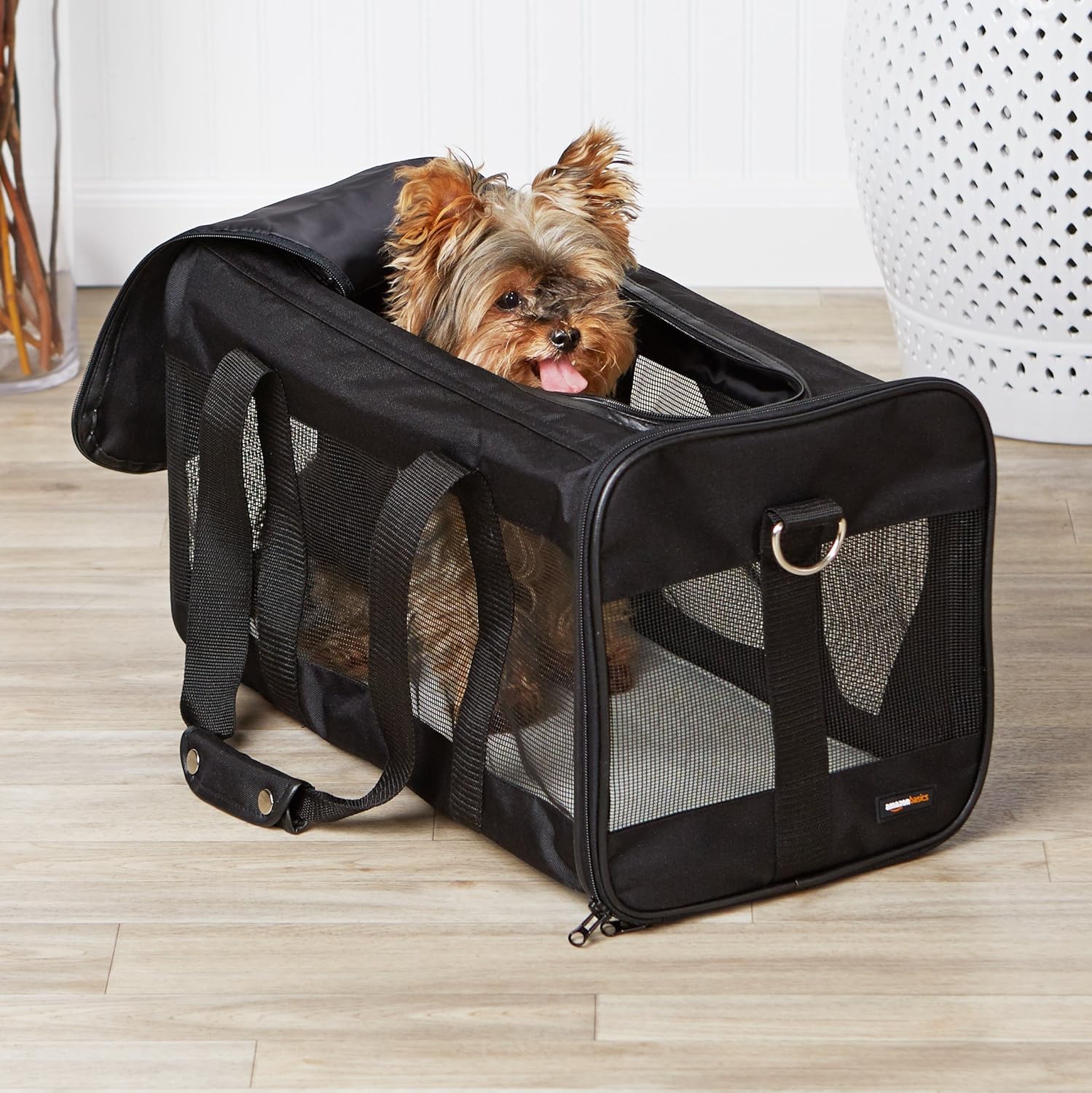 Basics Soft-Sided Mesh Pet Travel Carrier, Large (20 x 10 x 11 Inches), Black : Pet Supplies