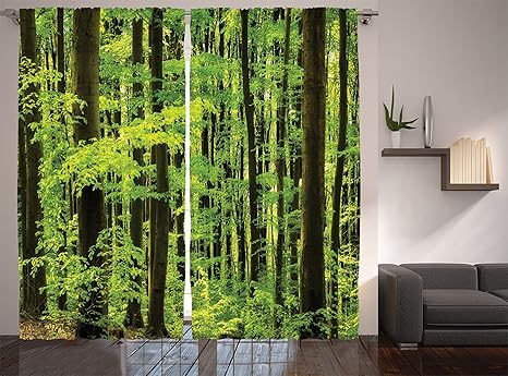 Amazon Com Ambesonne Mountain Curtains Spring Foliage Beech Forest Fresh Morning View In The Mountains Image Living Room Bedroom Window Drapes 2 Panel Set 108 X 84 Dark Green Home Kitchen