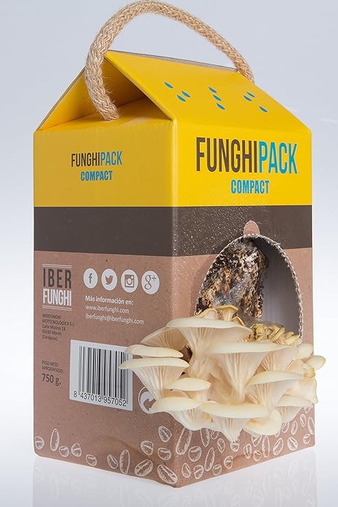Funghipack Compact-Kit de cultivo de setas sobre posos de café ...