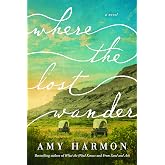 Where the Lost Wander: A Novel