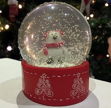 Oiseaux De Noël Boule De Neige Verre Boule à Neige Avec