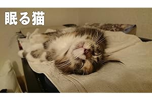 sleeping Cat (Japanese Edition)