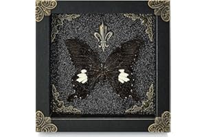 GDBEH Real Butterfly Framed Handmade - Taxidermy Butterfly Shadow Box - Real Framed Butterflies in a Box for Gothic Home Decor Aesthetic.
